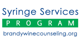 Syringe Services Program (SSP)